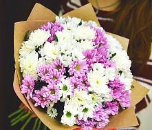 Букет цветов из:  Хризантемы #REPLACE_PRED# Усть-Луга