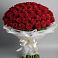Букет 101 Красная роза Блэк Мэджик в Усть-Луга