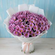 Букет цветов из:  Хризантемы в Усть-Луга