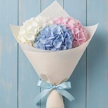 Букет цветов из:  Гортензия в Усть-Луга