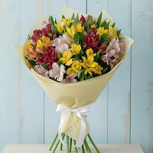 Букет цветов из:  Альстромерии в Усть-Луга