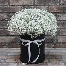 Цветочная композиция из Гипсофила в шляпной коробке в Усть-Луга